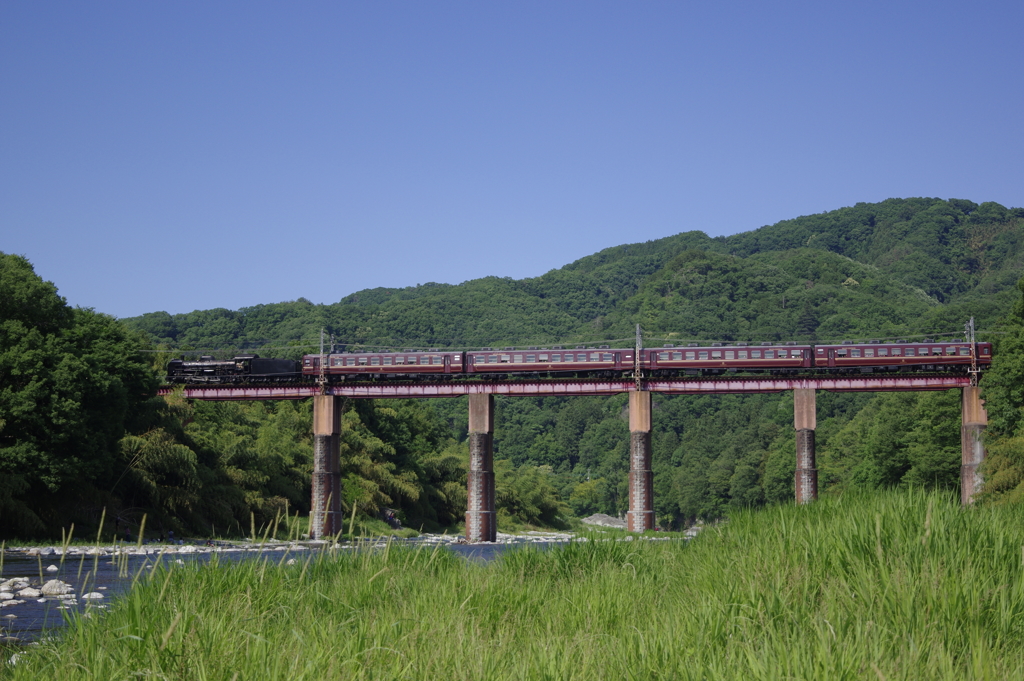 初夏のパレオエクスプレス①