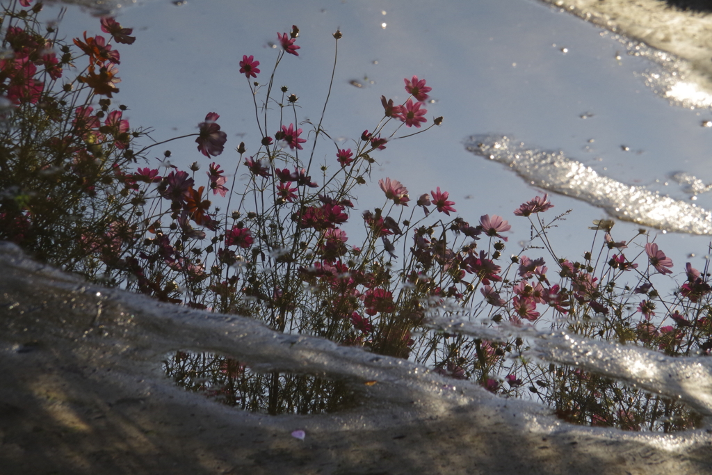 水鏡