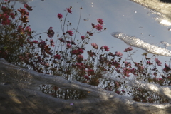 水鏡