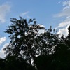 空