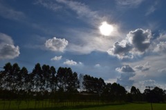 空