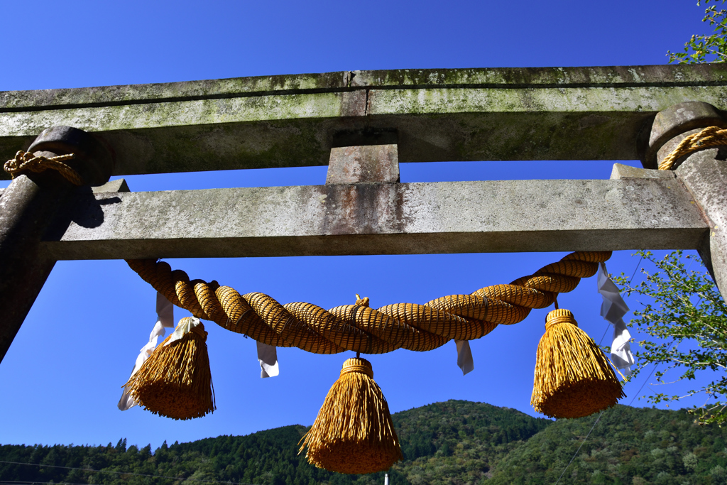 鳥居裏