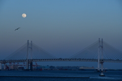 横浜夜景