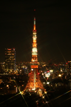 クロスフィルター使ってみた写真