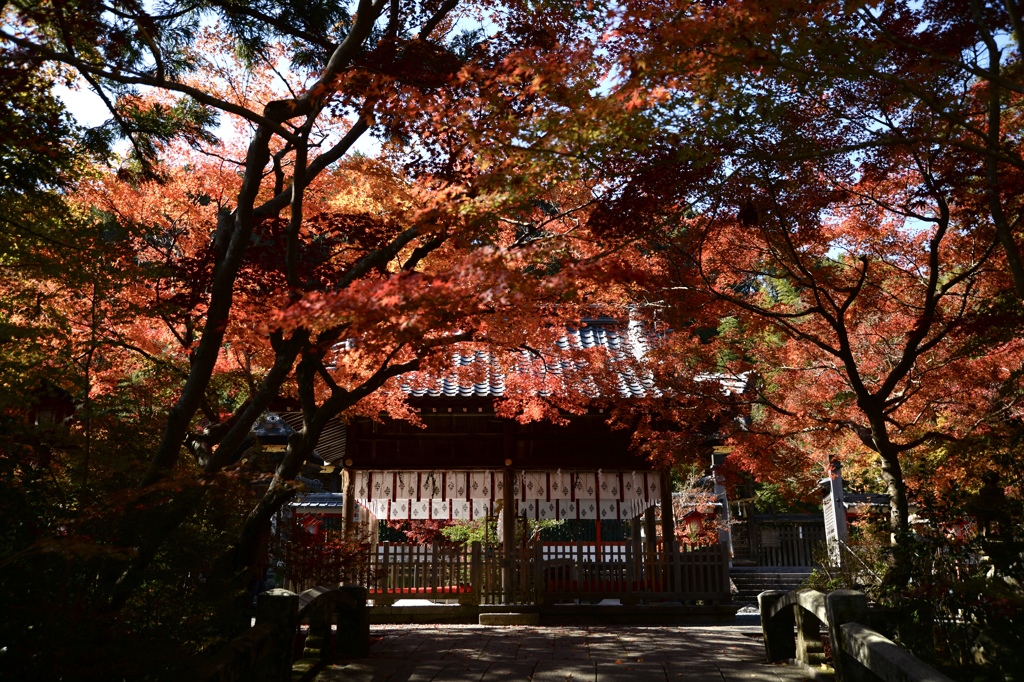 鍬山神社 2