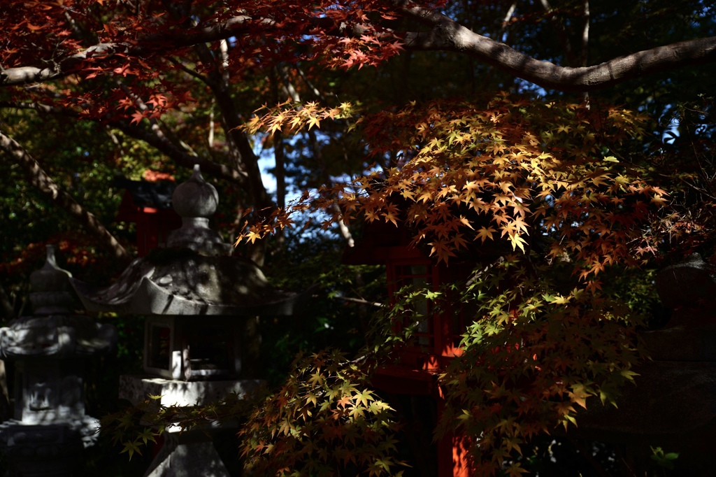 鍬山神社 1