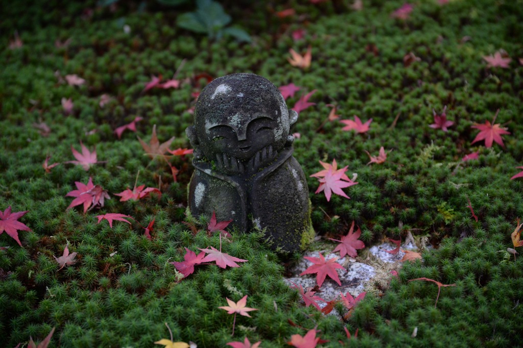 圓光寺 1