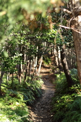 長い道のり