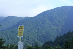 菜の花展望台⑥