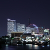 ブルーライト横浜？