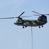 IMG_40969
