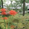 IMG_20161124_194140