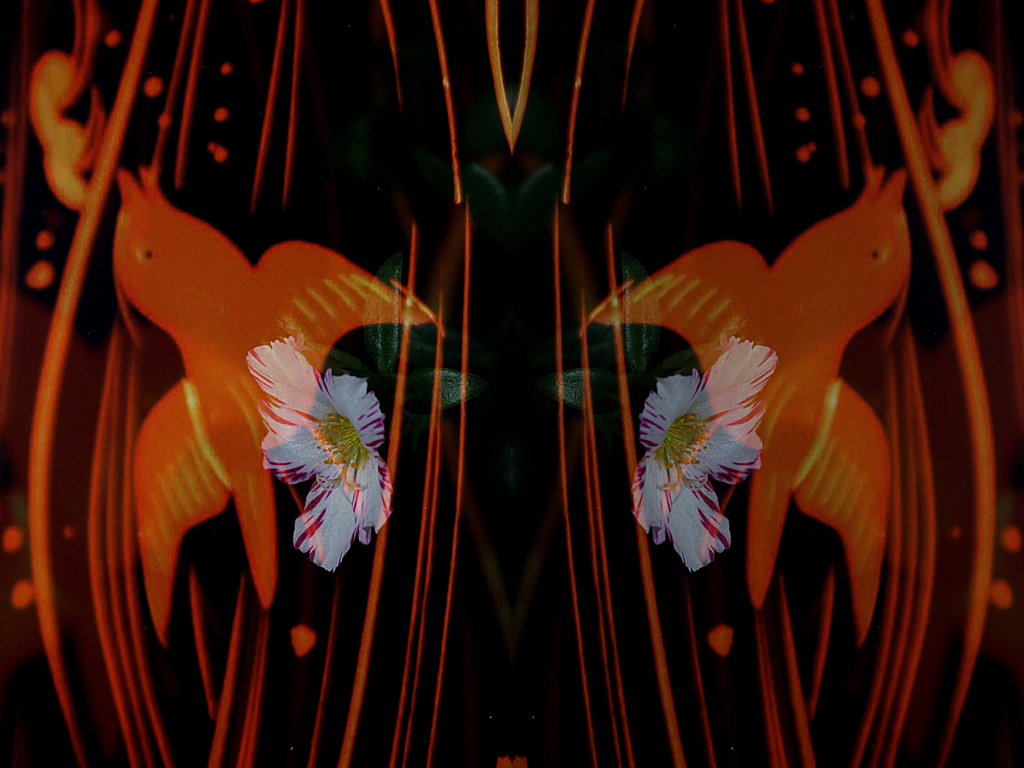 千鳥・ポーチュラカ