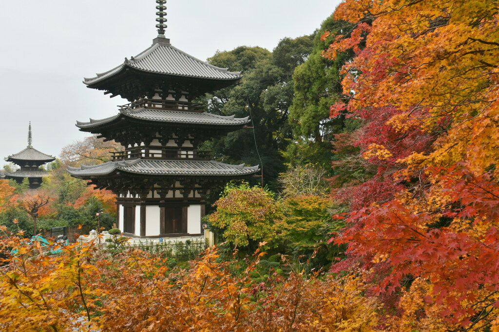 晩秋 当麻寺