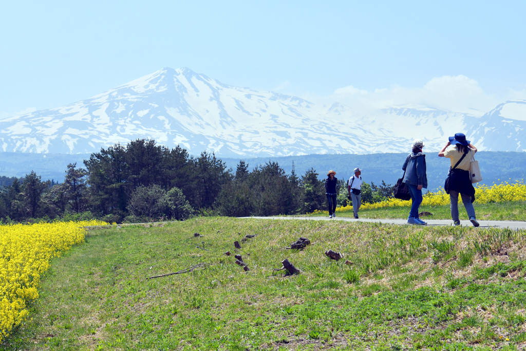 振り向けば鳥海山