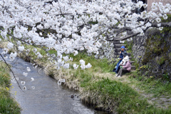 春の小川は
