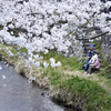 春の小川は