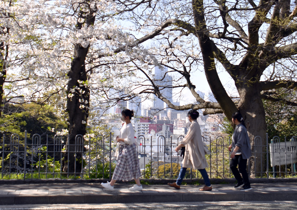 横浜山手通り