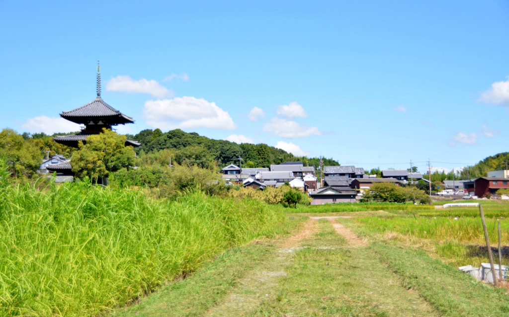 斑鳩、法起寺あたり