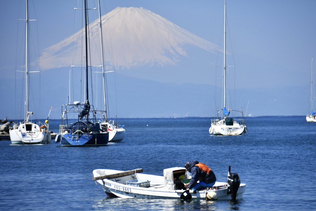 春の海