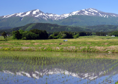 逆鳥海