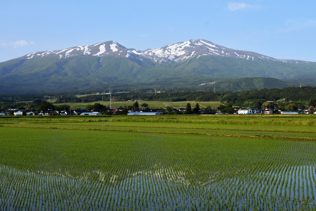 逆鳥海