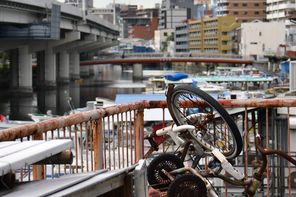 過飽和の風景