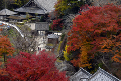 長谷寺、初冬