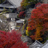 長谷寺、初冬