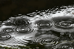 雨の紋様２