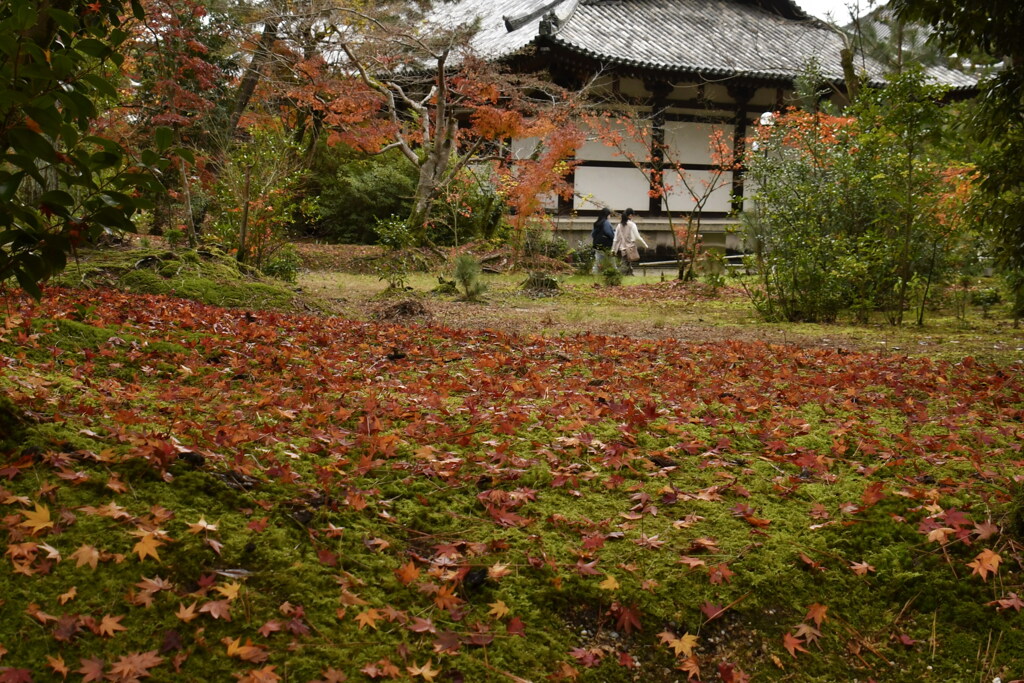唐招提寺、秋の終わり