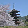 瑠璃光寺