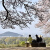花の下にて