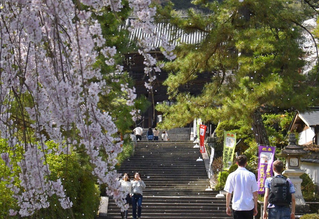 長谷寺の参道