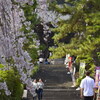長谷寺の参道
