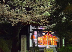 夜桜