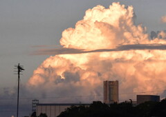 夕方の夏雲