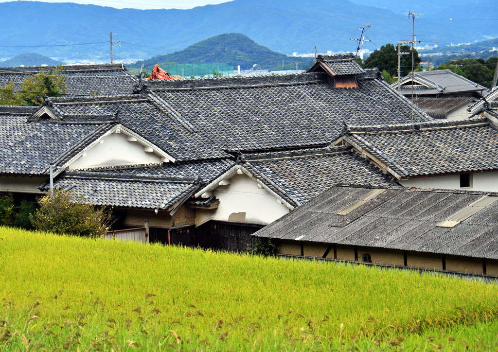 葛城古道からの眺め