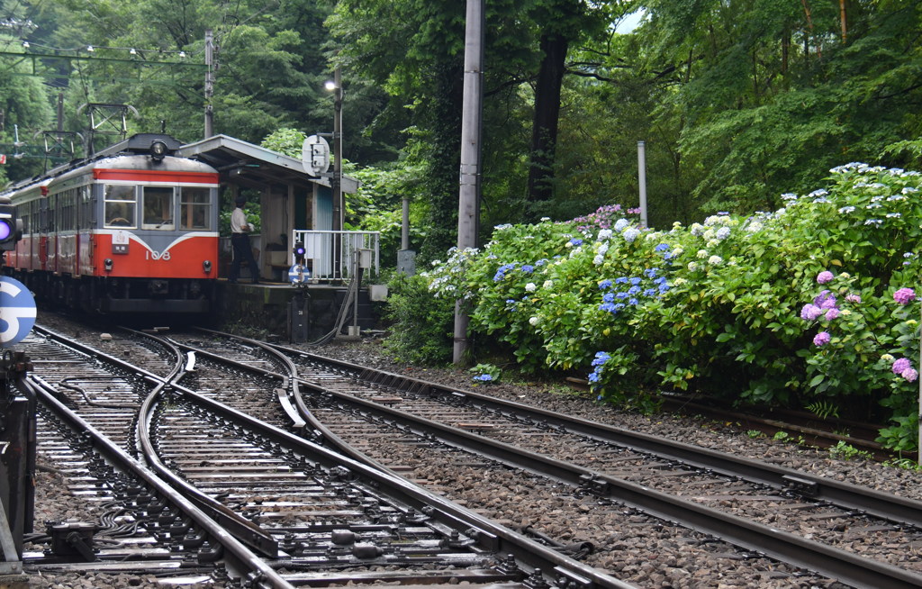大平台駅、スイッチバックポイント