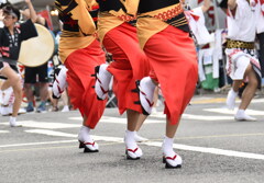 始まりました！阿波踊り