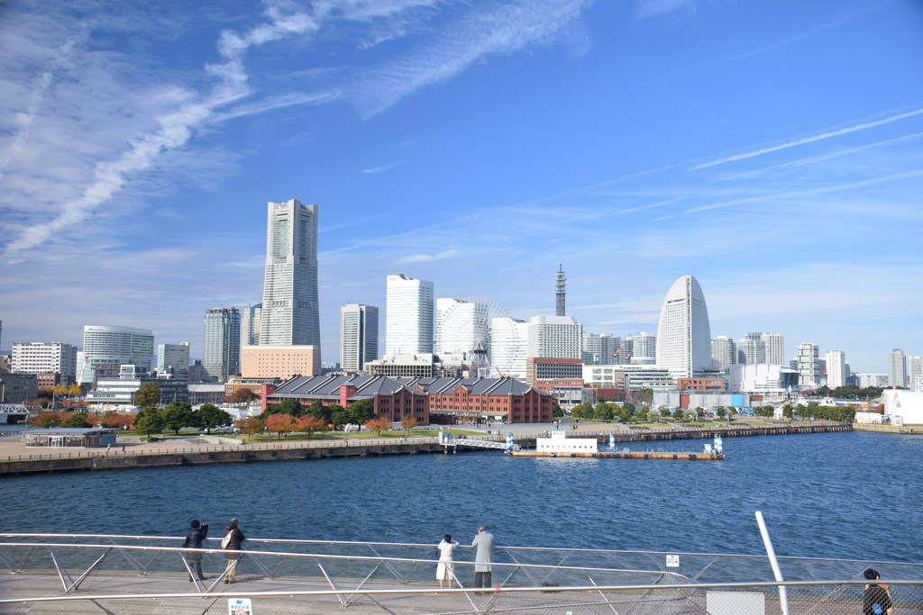 日曜散歩　大桟橋