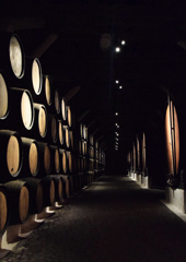 ポルトガルのワイン倉庫