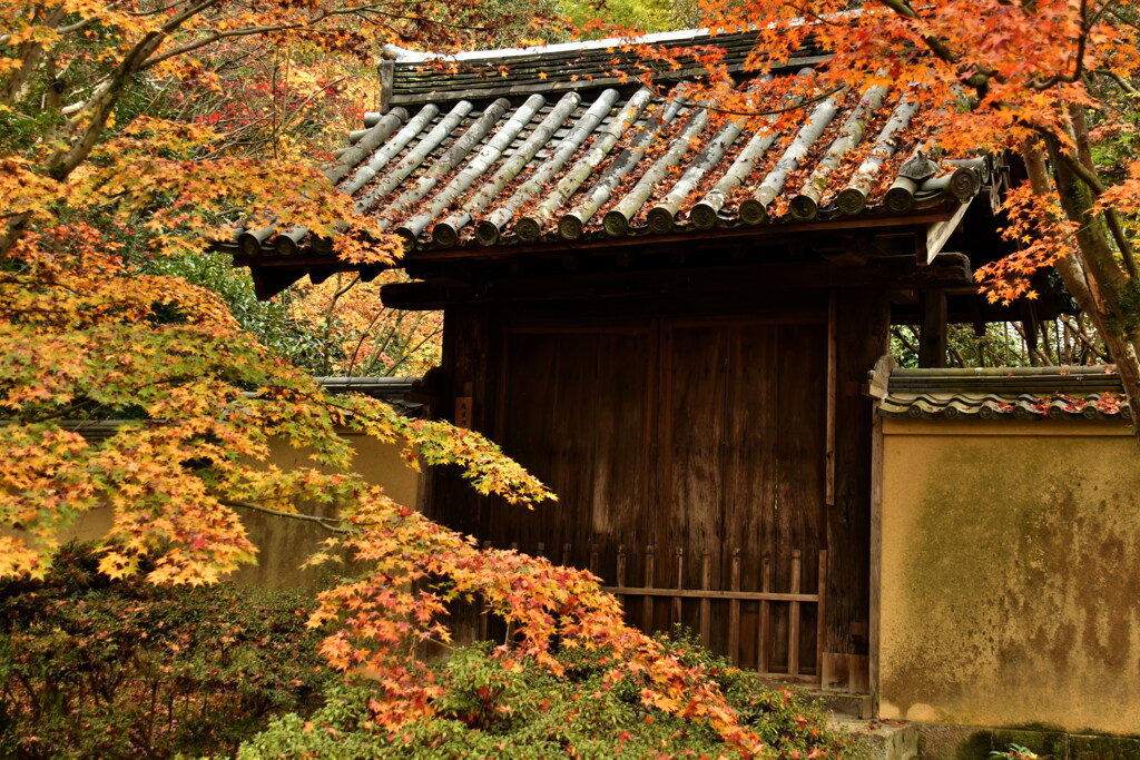 唐招提寺秋深し