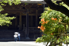 盛夏