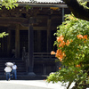 盛夏