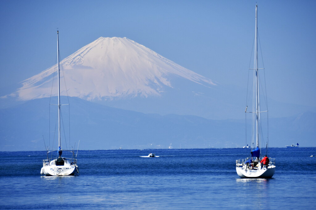 春の海