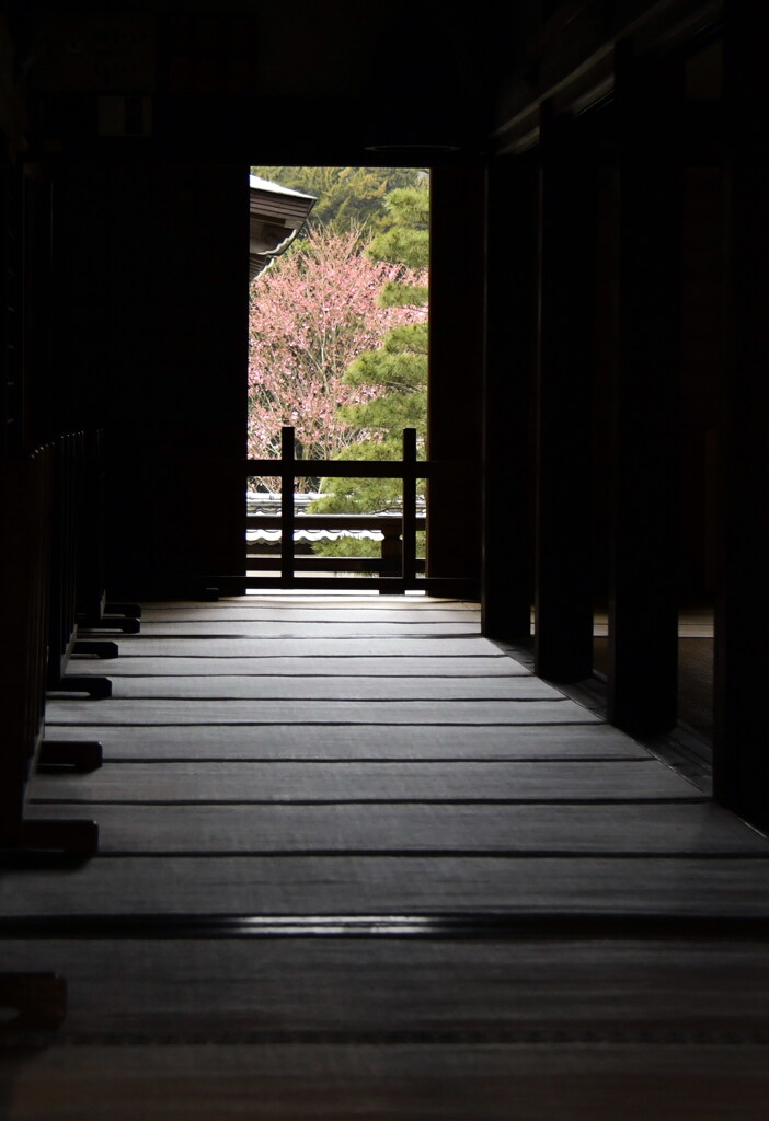 八重桜