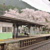 桜咲く駅