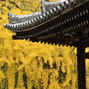 黄金のタペストリー