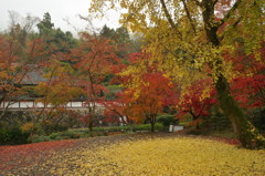 正暦寺の紅葉